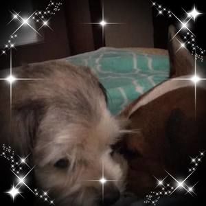 Meet your Posher, Tami